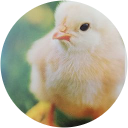 katiuska O. profile picture